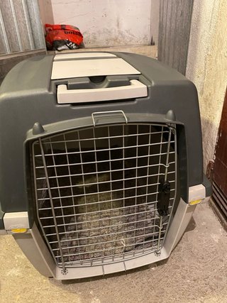 Transportín para Perro/Gato Mediano