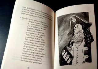 Libro Infantil El poema de Peter Pan Carmen Martín