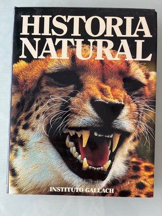 Historia natural, Instituto Gallach