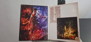 Sleeping Dogs Definitive Edition PS4 PAL ESP 🇪🇸