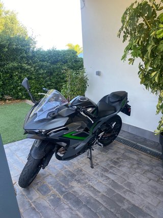 Kawasaki Ninja 500 SE