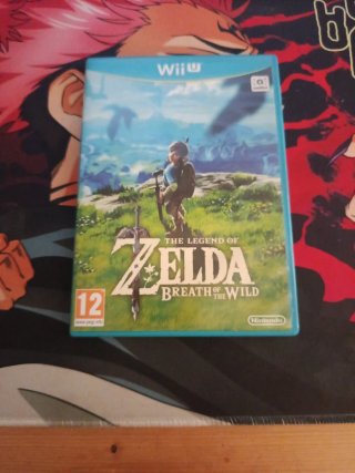 La Leggenda di Zelda: Breath of the Wild per Wii U