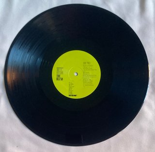 Brian Ritchie - The Blend (LP) Violent Femmes