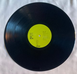 Brian Ritchie - The Blend (LP) Violent Femmes
