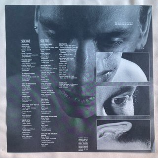 Brian Ritchie - The Blend (LP) Violent Femmes