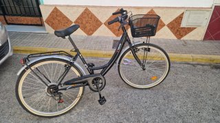 Bicicleta Paseo Mujer