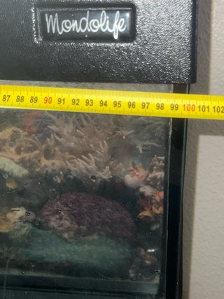 Acuario MTB Mondolife 150 Litros