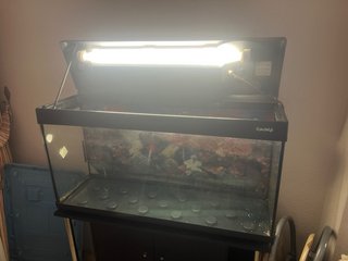 Acuario MTB Mondolife 150 Litros