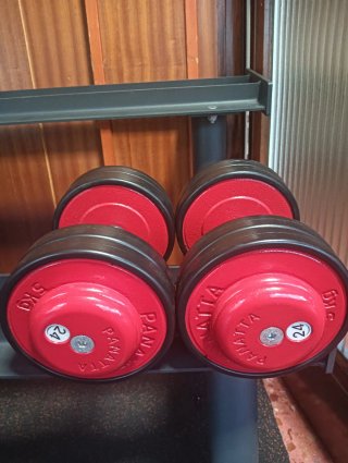 Mancuernas Panatta 24kg (Par)