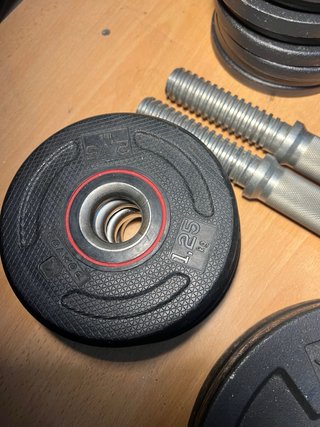 Juego de mancuernas + discos pesas Domyos –2barras