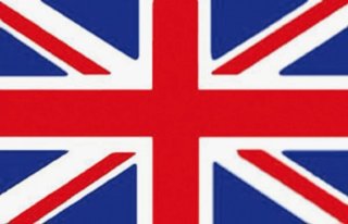 Busco Profesor/a de Inglés para Primaria