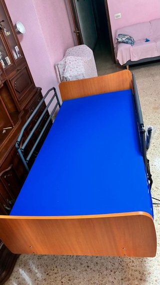 Cama articulada eléctrica con carro elevador