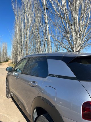 Citroen C4 Cactus 2019