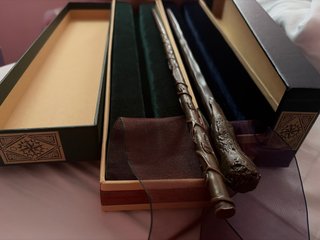 Set 2 Bacchette Harry Potter: Hermione e Ron