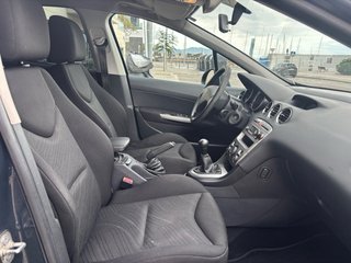Peugeot 308 2010 PEGATINA (B)