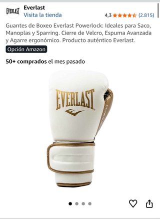 Guantes Boxeo Everlast Powerlock 14oz