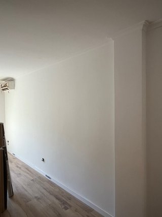 Pintor economico