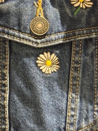 Cazadora vaquera Desigual bordada