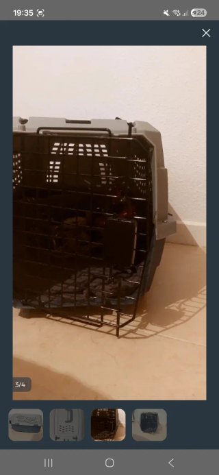 Transportín Rígido para Mascotas