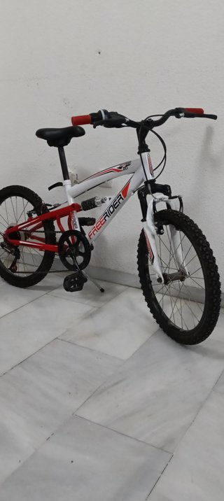 Bicicleta Freerider Doble Suspensión