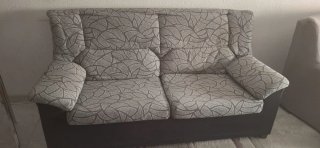 Conjunto de Sofá de 3 y 2 plazas con estampado