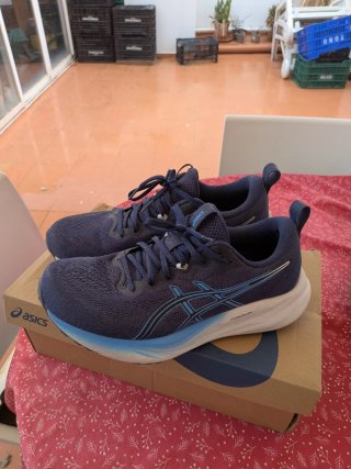 Asics Gel Pulse 16 Talla 43.5 Azul