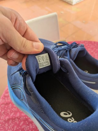 Asics Gel Pulse 16 Talla 43.5 Azul