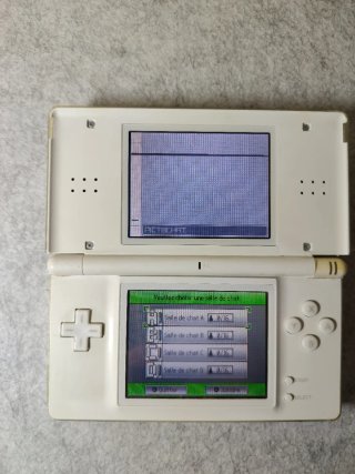 Nintendo DS Lite Bianca