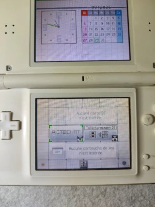 Nintendo DS Lite Bianca
