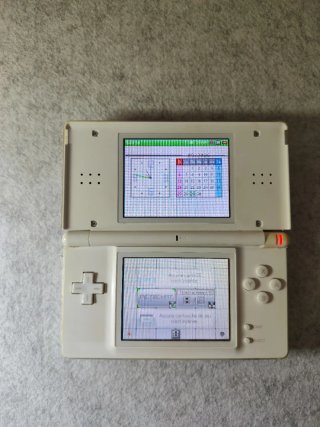 Nintendo DS Lite Bianca