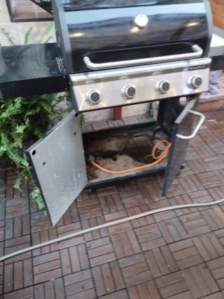 Barbacoa de gas negra y plateada