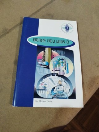 Lote de libros ingles