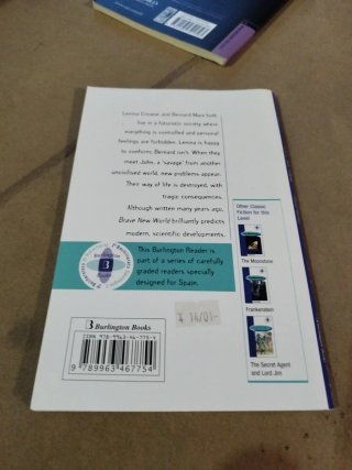 Lote de libros ingles