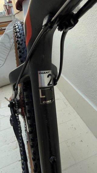 Giant XTC Advanced 2 Carbono 29 Talla L MTB PRO