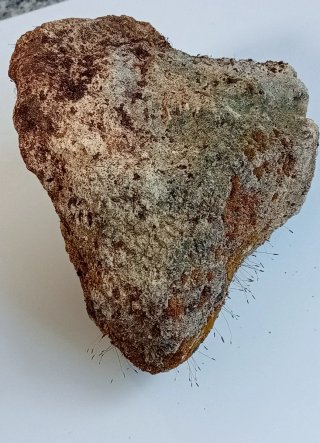 Roca Rocalla con Musgo Vivo Sierra Morena- Suiseki