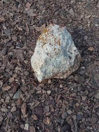 Roca Rocalla con Musgo Vivo Sierra Morena- Suiseki