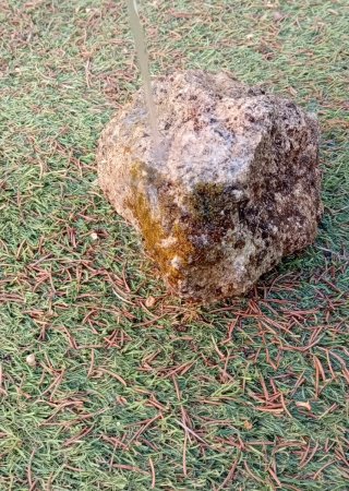 Roca Rocalla con Musgo Vivo Sierra Morena- Suiseki