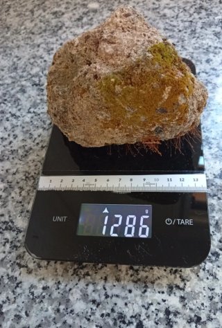 Roca Rocalla con Musgo Vivo Sierra Morena- Suiseki