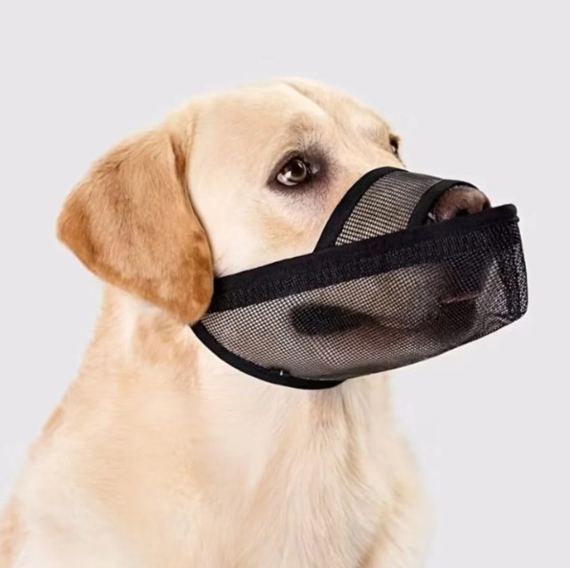 Bozal para Perro de Malla
