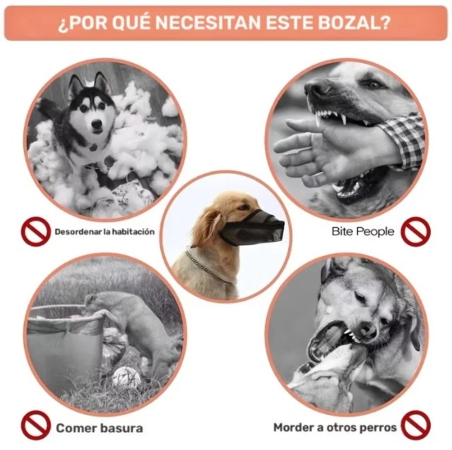 Bozal para Perro de Malla