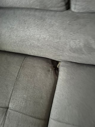 Sofá Cama Gris 5 Plazas Tela