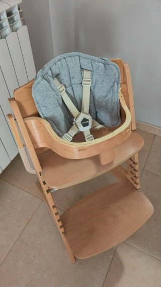 Trona Evolutiva Madera