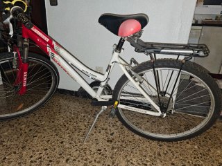 Bicicleta de Montaña Grimper
