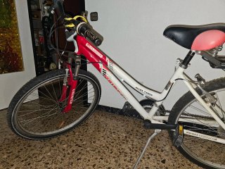 Bicicleta de Montaña Grimper