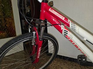 Bicicleta de Montaña Grimper