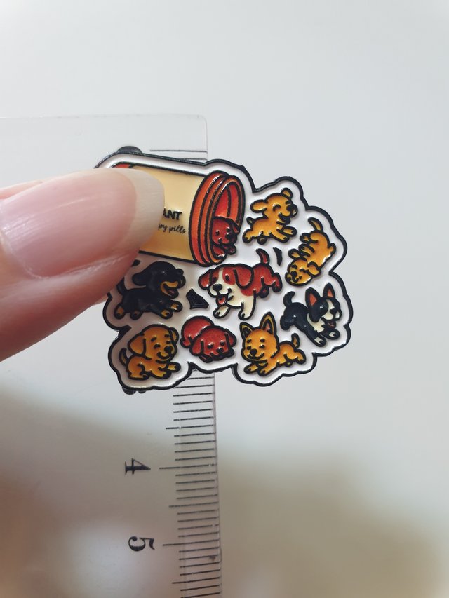 13 pins Reserva Amparo