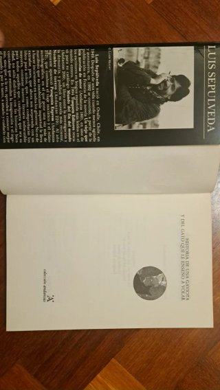 Historia de una gaviota y del gato que le enseñ...
