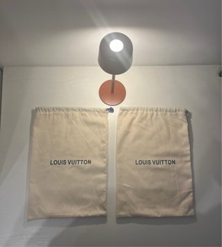 Louis Vuitton Skate grigie e bianche
