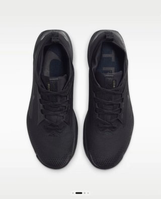 Zapatillas Trail Running Nike Pegasus GTX T44.5