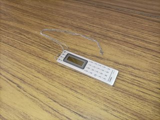 CALCULADORA PORTÁTIL CASIO MQ-10